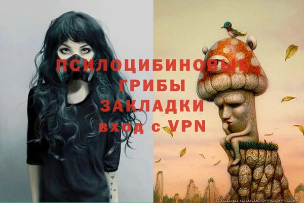 гашиш Володарск