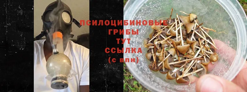 Псилоцибиновые грибы MAGIC MUSHROOMS  Поворино 